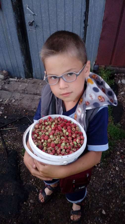 Амиль