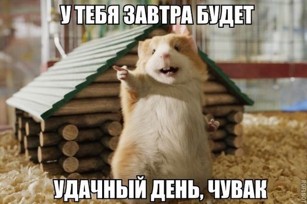 Чернов Эмиль