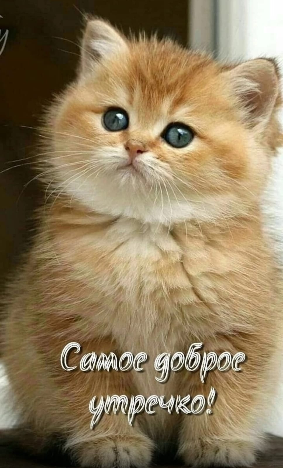 Жилин Сергей