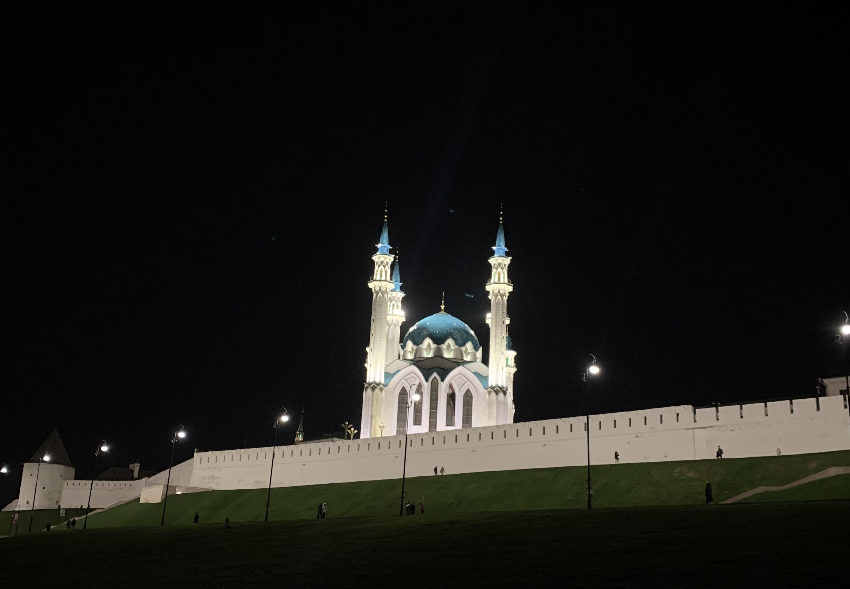 Камалтдинова Сафия