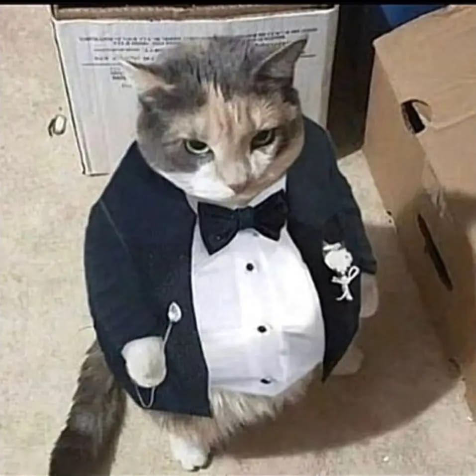Данис