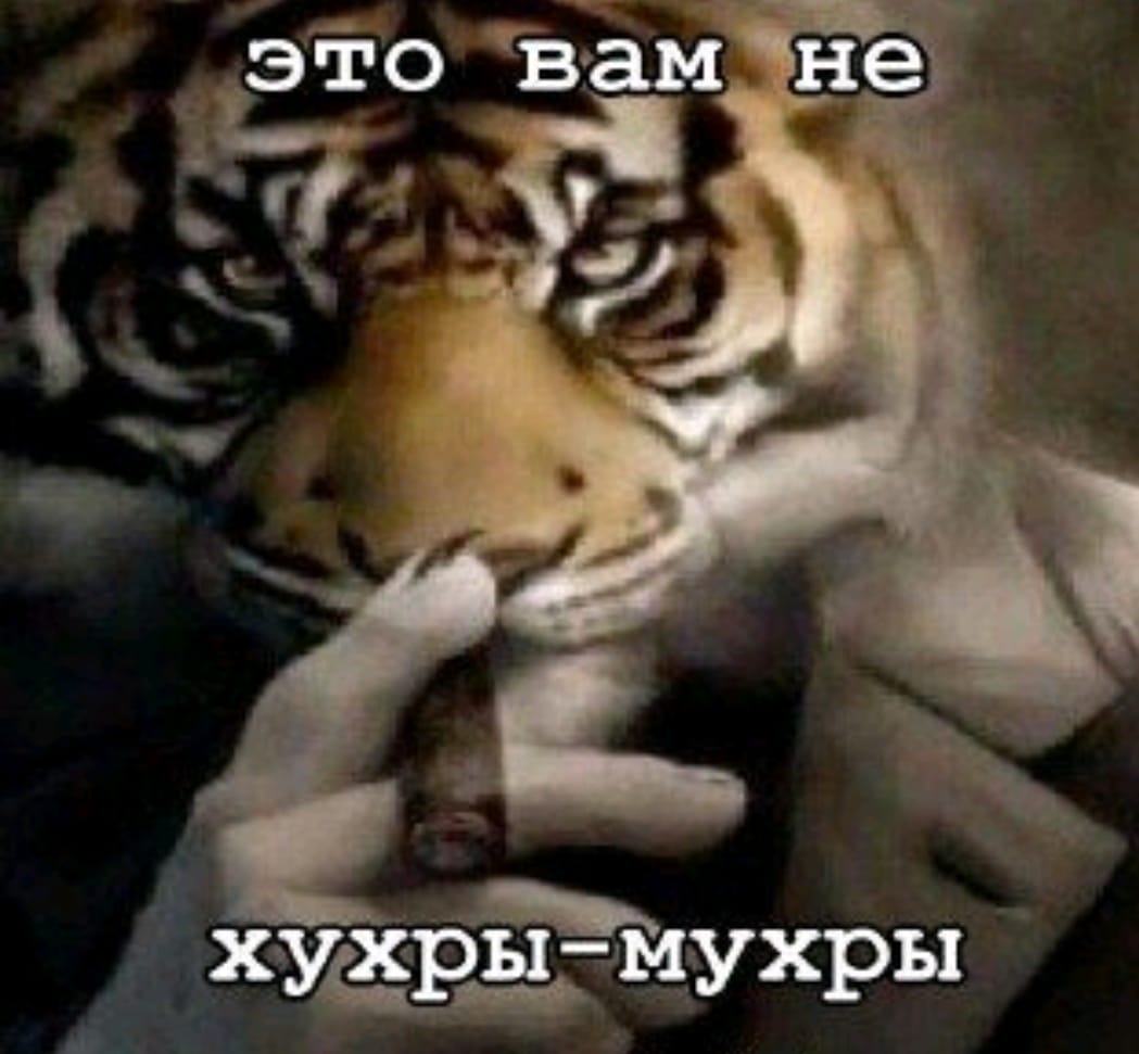 Ахмитов Айназ